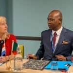 Oyedele Ties Economic Development To Effective Tax Compliance