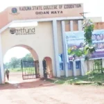 Why Ekiti election exposes serious danger to 2027 polls – Analyst