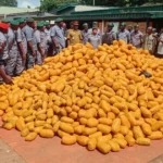 NSCIA urges Islamic clerics to verify information, fight fake news