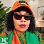 NDP, party to beat come 2027 – Imo chairman, Amadi 