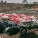 ‘Syringes on beaches’ as hospital waste goes unchecked