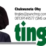 Ogun Indigenes In Enugu Host PDP Deputy Gov Candidate, Sowunmi-Kolapo